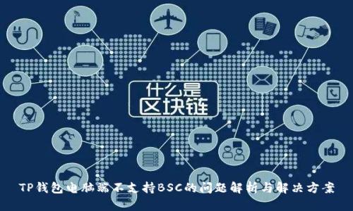 TP钱包电脑端不支持BSC的问题解析与解决方案