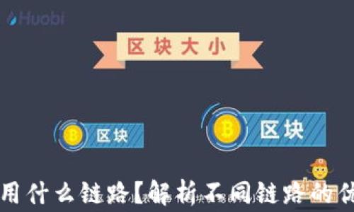 
提币到TP钱包用什么链路？解析不同链路的优势与注意事项