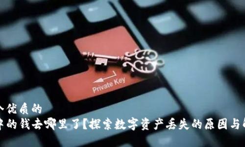 思考一个优质的
TP钱包中的钱去哪里了？探索数字资产丢失的原因与解决方案