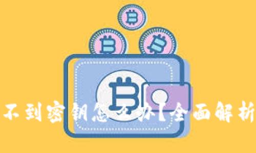 : TP钱包找不到密钥怎么办？全面解析与解决方案