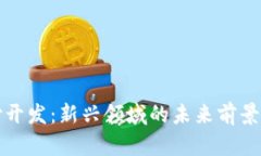 区块链支付开发：新兴领域的未来前景与专业思