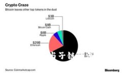 区块链公链与子链的深度解析