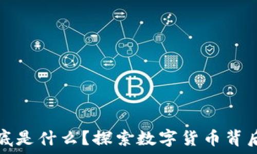   
区块链挖的到底是什么？探索数字货币背后的价值与技术