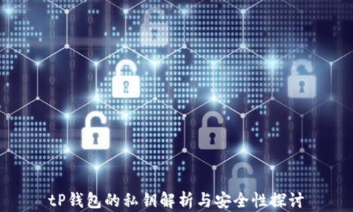 
tP钱包的私钥解析与安全性探讨
