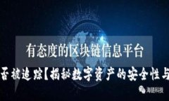 TP钱包能否被追踪？揭秘数字资产的安全性与隐私